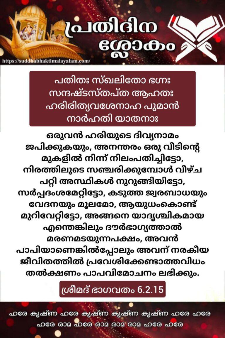 photo_2026-02-07_07-38-07