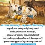 Agri- cow