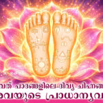 Glories-or-Lotus-Feet