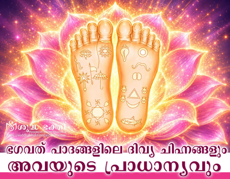 Glories-or-Lotus-Feet